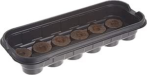 Ferry Morse Jiffy Windowsill Greenhouse 12 Review Best Seed Starting Kit for Gardeners