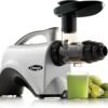 Omega NC800HDS Masticating Juicer Review Reveals Maximum Nutrient Extraction Benefits