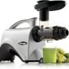 Omega NC800HDS Masticating Juicer Review Reveals Maximum Nutrient Extraction Benefits