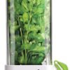 Prepara Herb Savor Eco Review Best Food Storage Container for Fresh Herbs Longevity