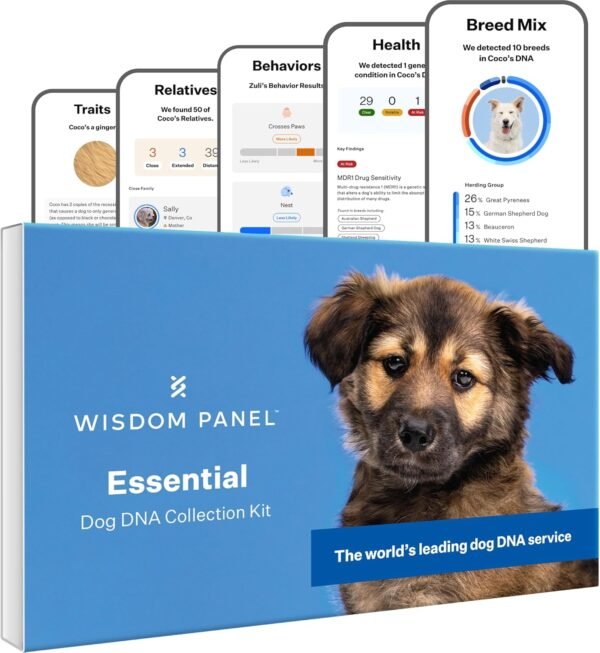 Most Accurate Dog DNA Test Review Wisdom Health Essential Breed and Health Insights