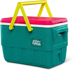 Igloo Retro Cooler Review Exploring Durable Insulated 25 Quart Picnic Basket