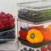 91xKJJM619L._AC_SL1500_ Progressive Produce Variety Container Set Review Maximizing Freshness with ProKeeper Design