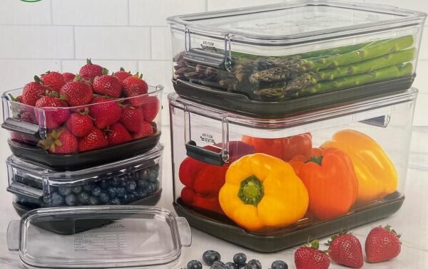 91xKJJM619L._AC_SL1500_ Progressive Produce Variety Container Set Review Maximizing Freshness with ProKeeper Design
